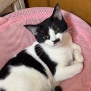 おしゃべりさんの甘えん坊さん