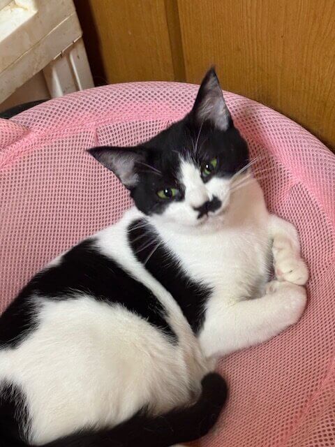 おしゃべりさんの甘えん坊さん