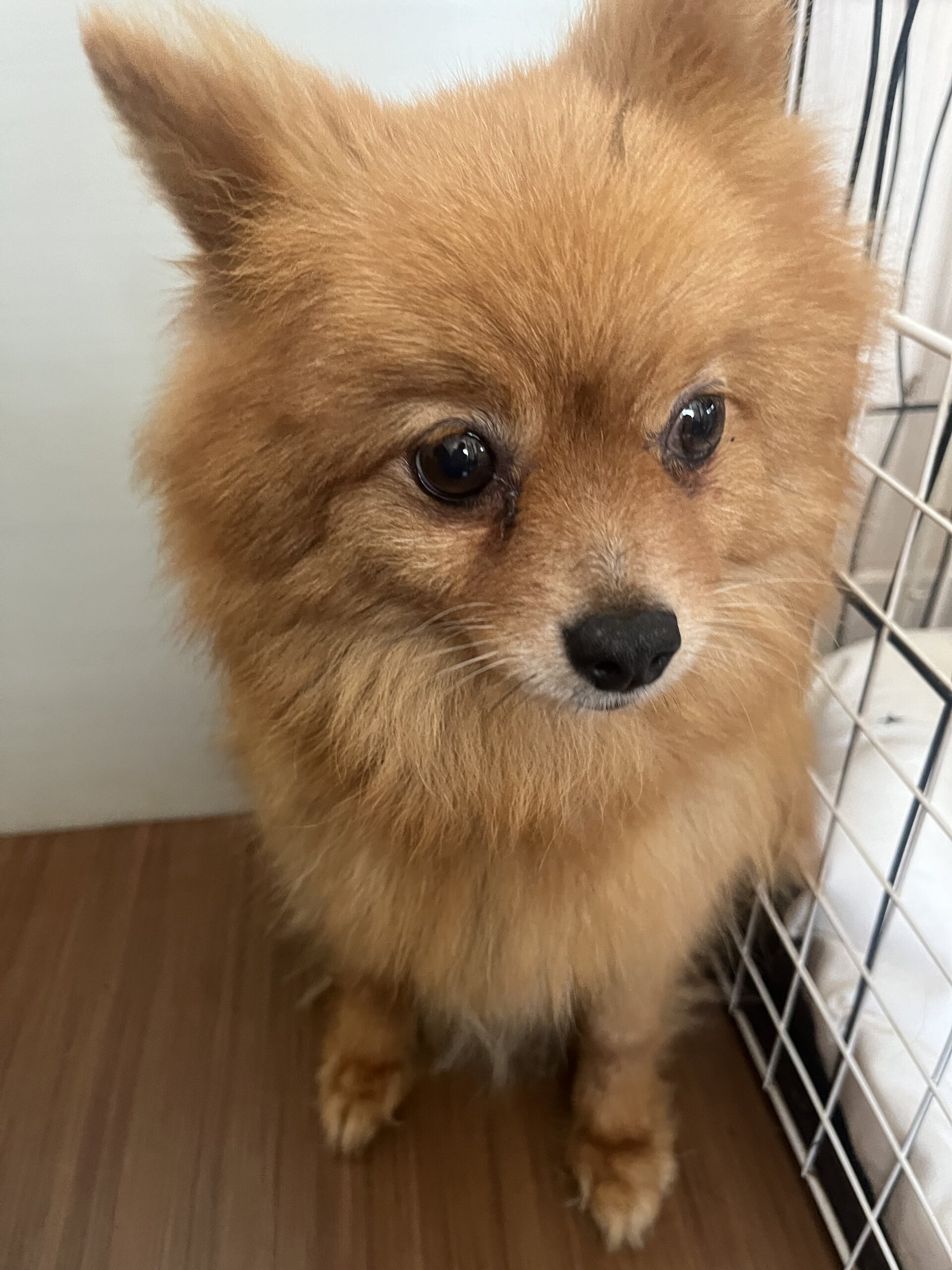 可愛らしく優しい女の子