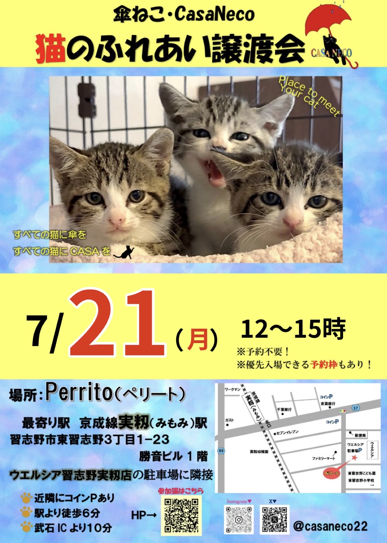 傘ねこ・猫のおうち探し会(譲渡会＠習志野市実籾)