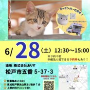 保護ねこ譲渡会（＠松戸市五香）