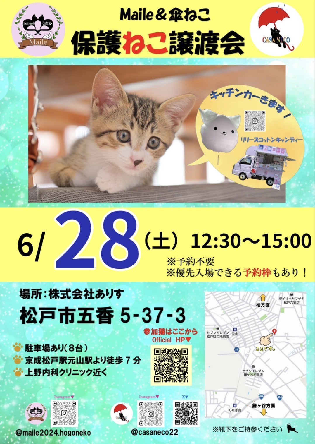 保護ねこ譲渡会（＠松戸市五香）