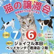 【君津市】保護猫の譲渡会