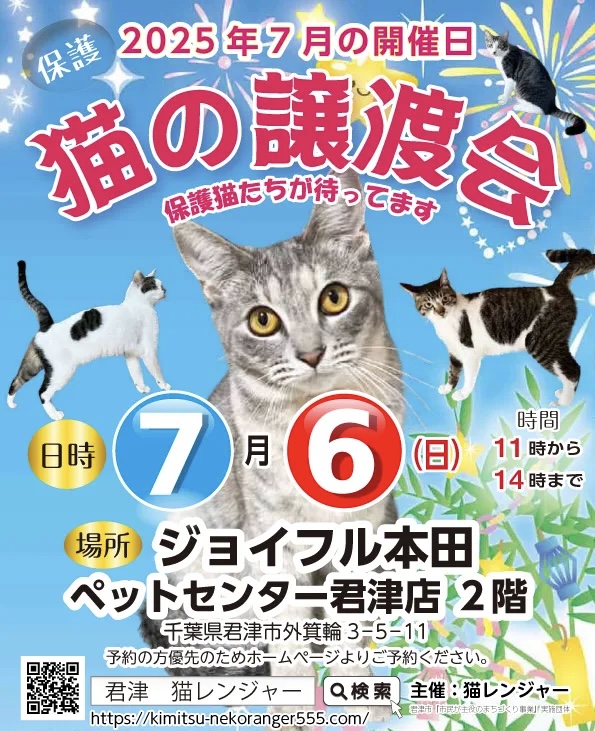 【君津市】保護猫の譲渡会
