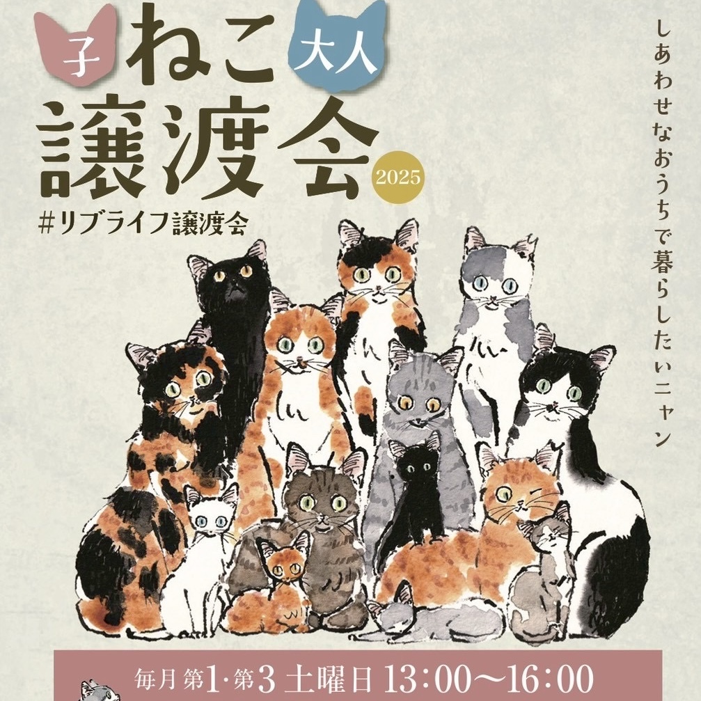 リブライフ譲渡会