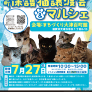 百町保護猫譲渡会＆マルシェ
