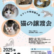 むさしの地域猫の会　譲渡会