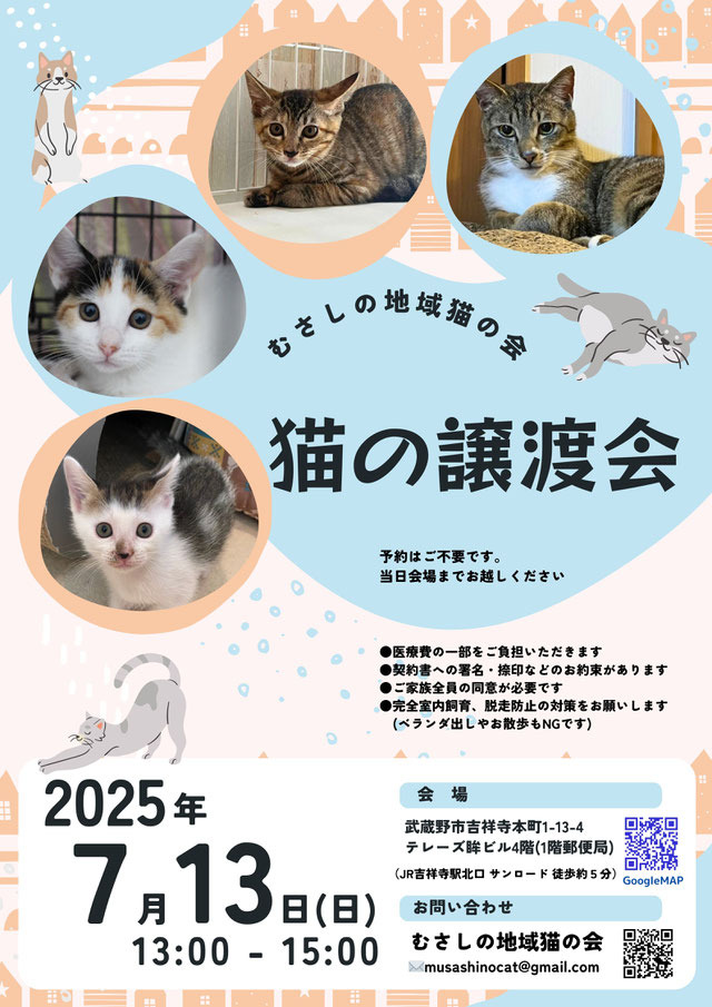 むさしの地域猫の会　譲渡会