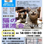 第31回平野ろまねこ譲渡会