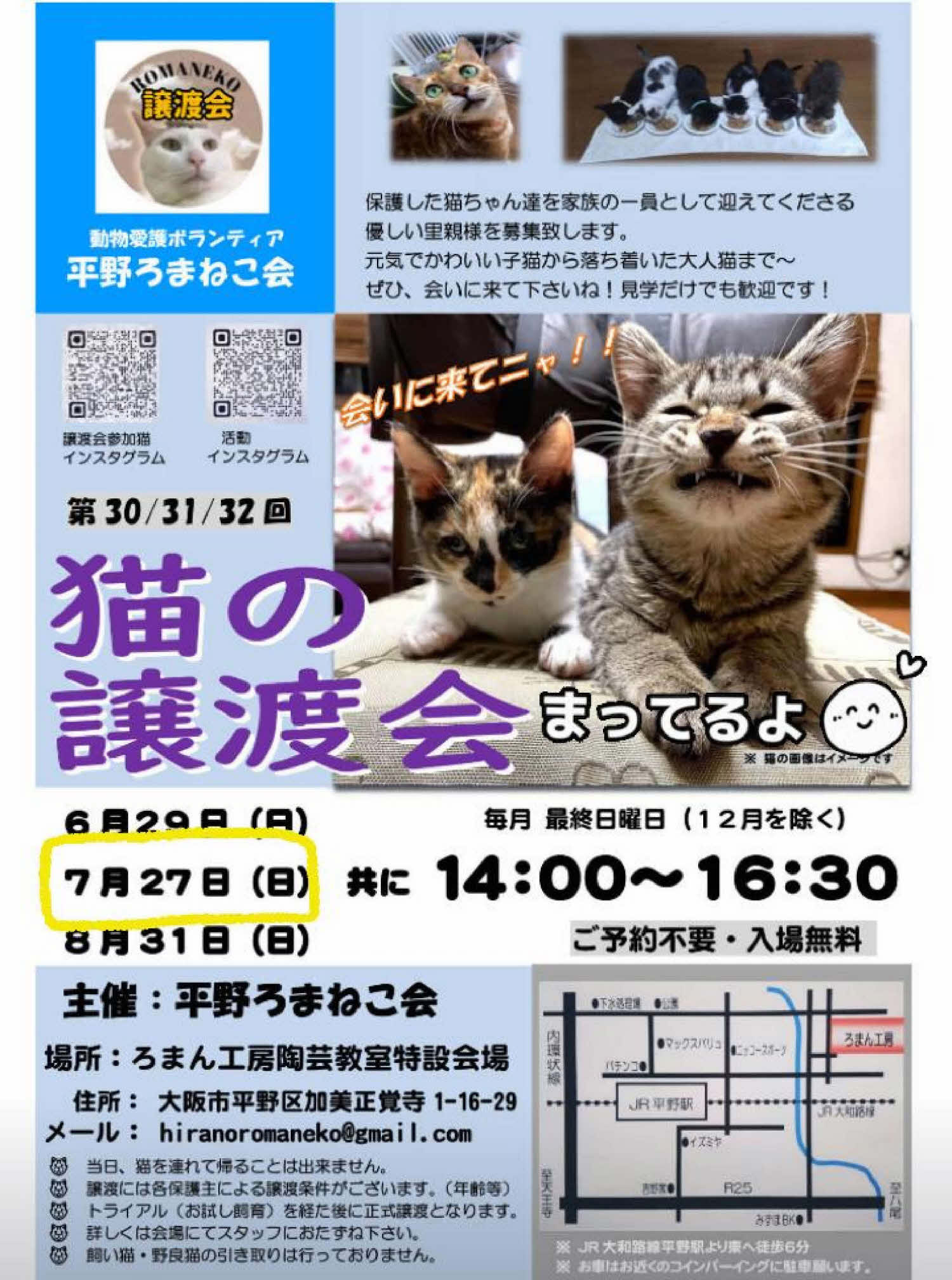 第31回平野ろまねこ譲渡会