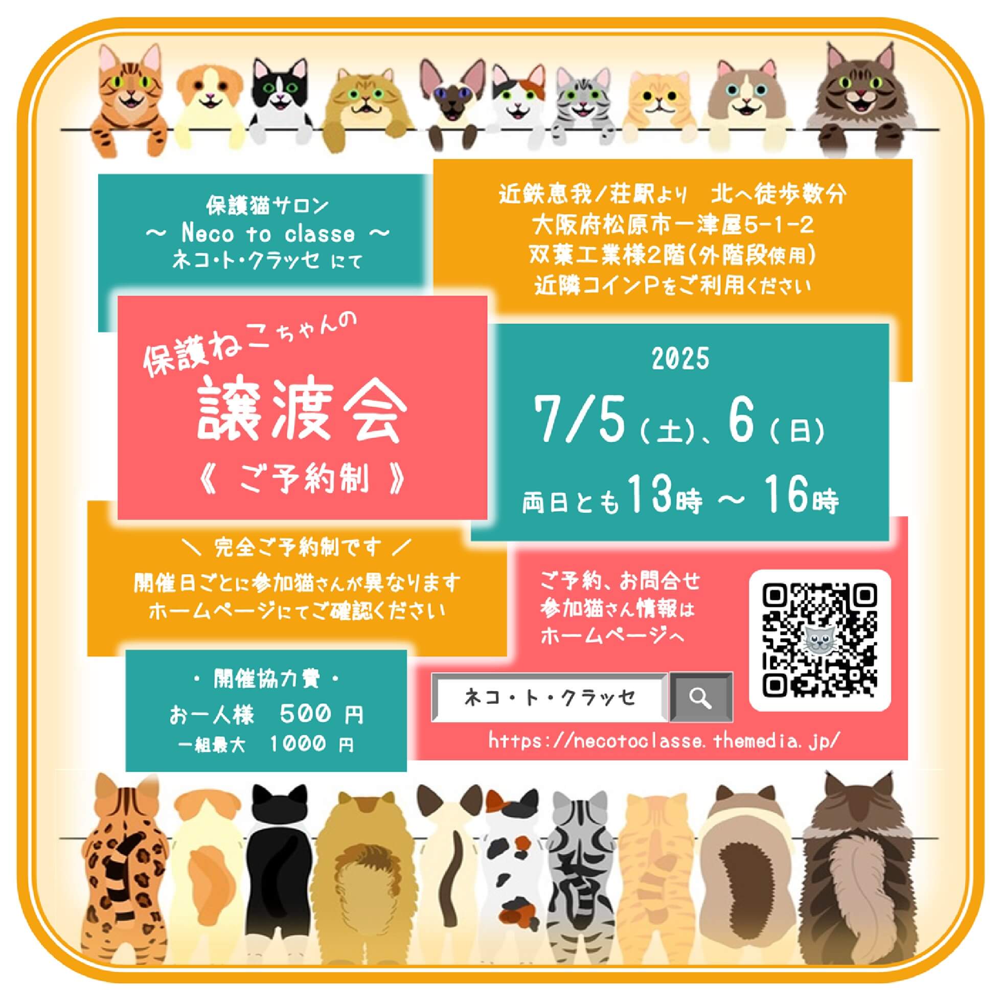ネコトクラッセ譲渡会