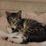 元氣いっぱい美人さん ♥ あかね です ❣