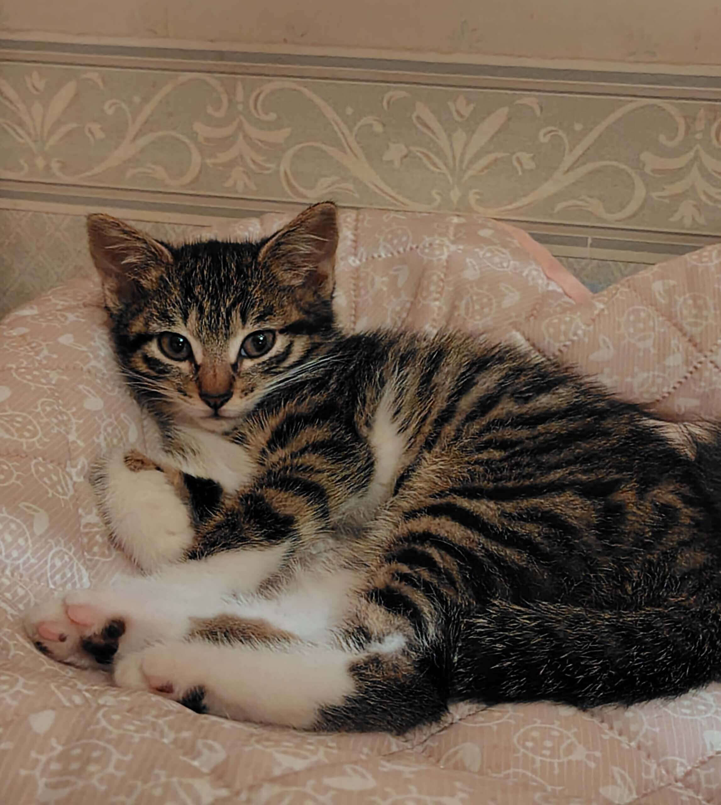 元氣いっぱい美人さん ♥ あかね です ❣