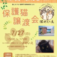 【さいたま市西区】7/27（日)猫専門病院「ぽのいえ」保護猫譲渡会
