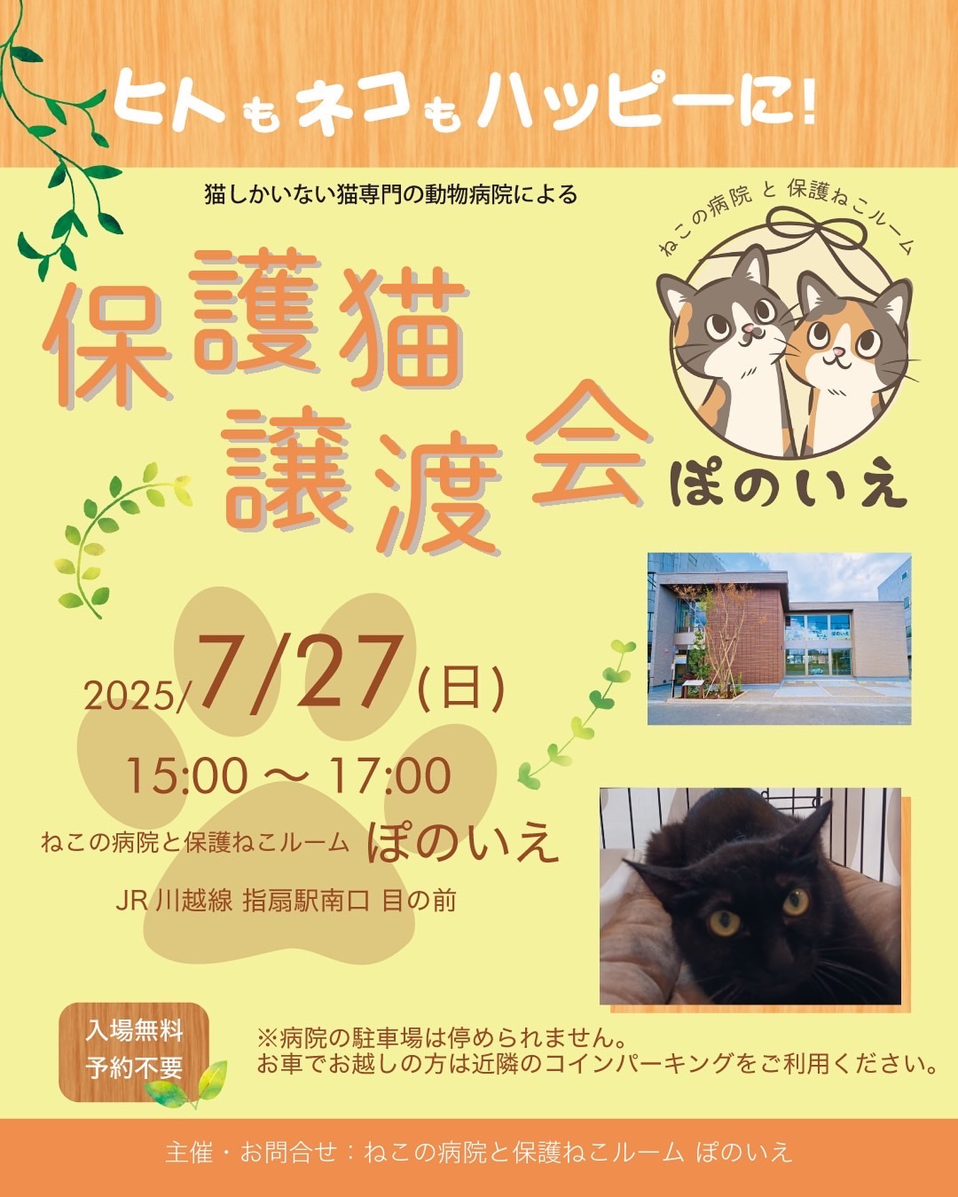 【さいたま市西区】7/27（日)猫専門病院「ぽのいえ」保護猫譲渡会