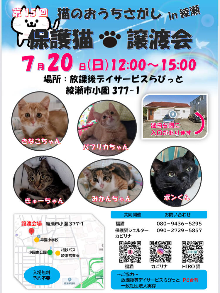 保護猫譲渡会