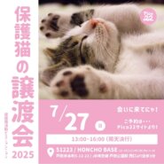 保護猫の譲渡会