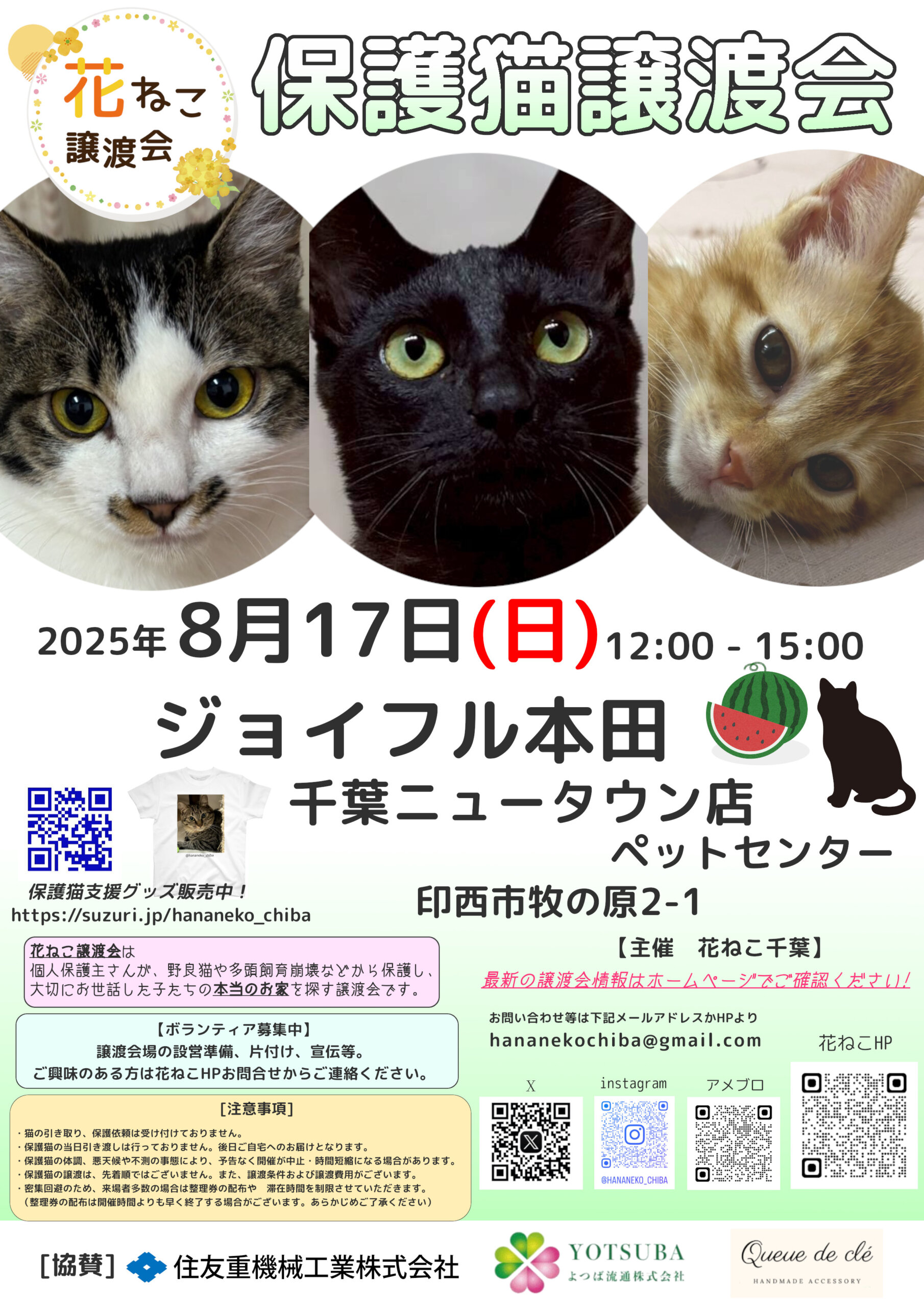 花ねこ譲渡会