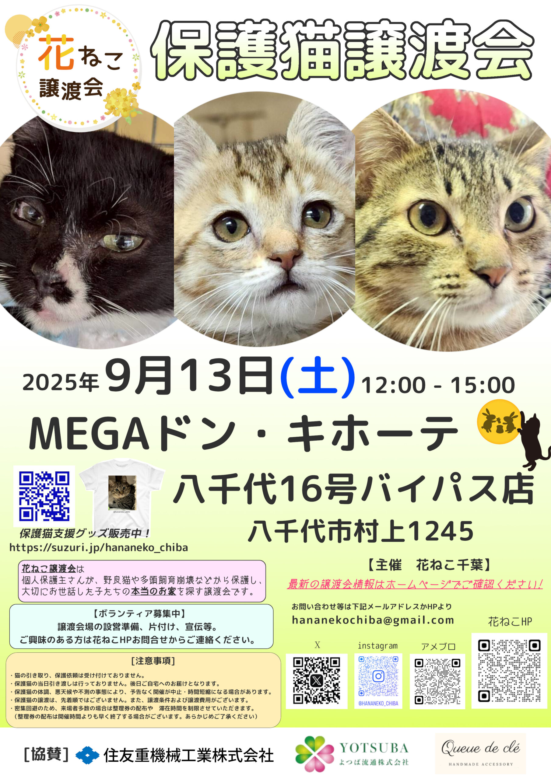 花ねこ譲渡会