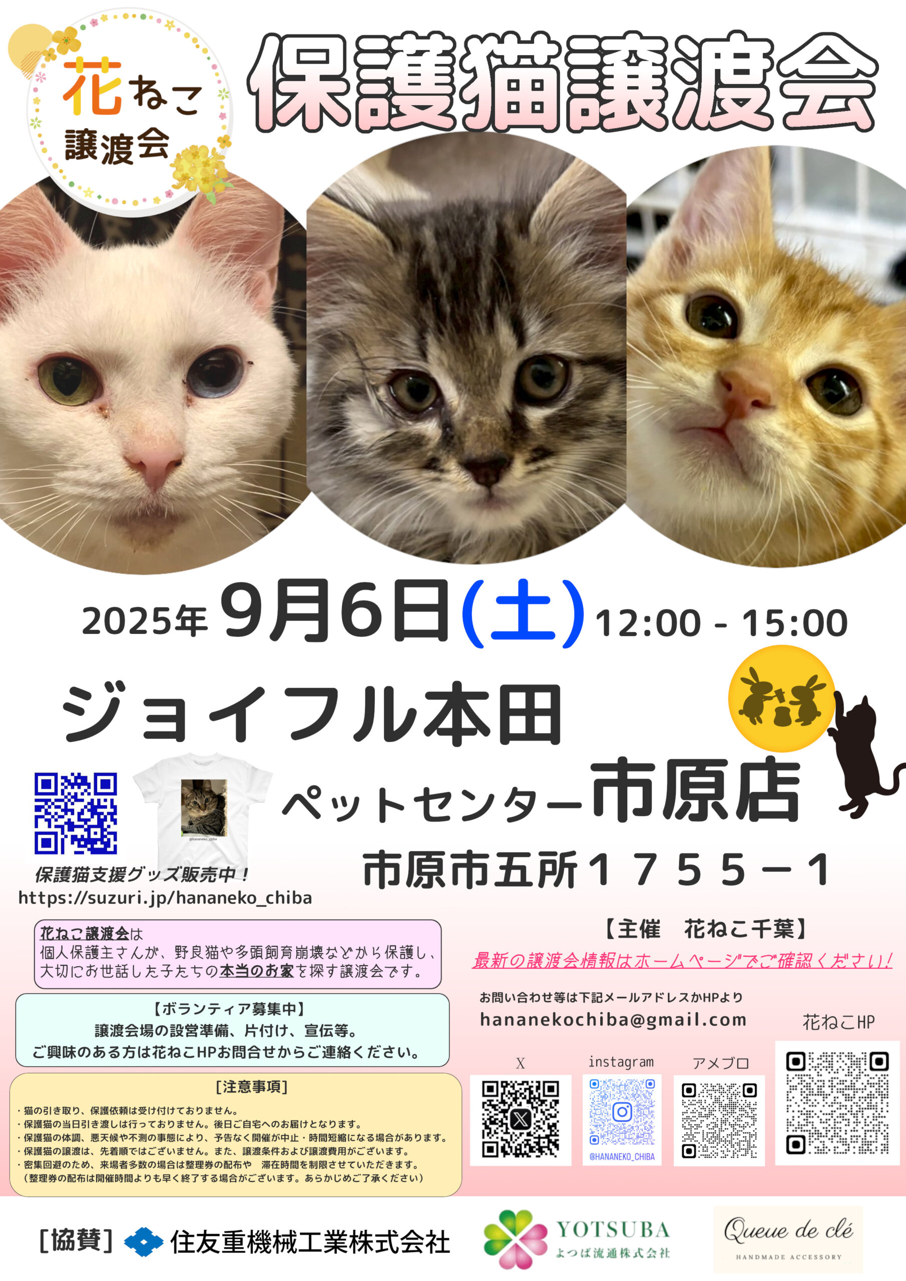 花ねこ譲渡会