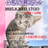 【さいたま市見沼区】8/3(日)夕方からハレノテラス保護猫譲渡会