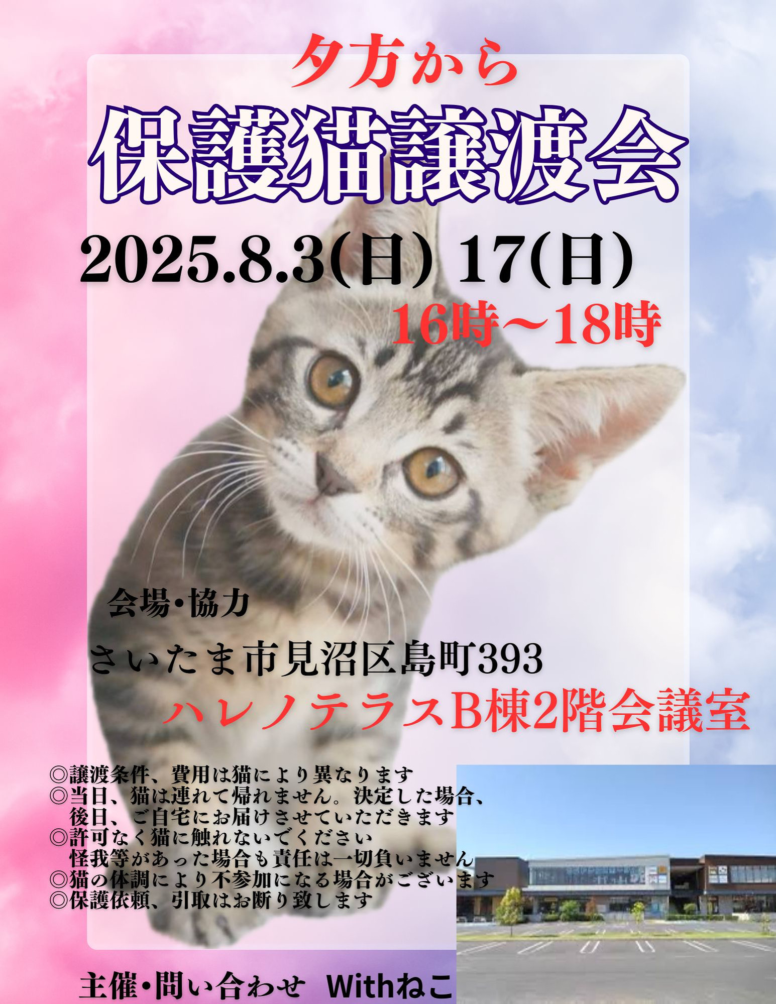 【さいたま市見沼区】8/3(日)夕方からハレノテラス保護猫譲渡会