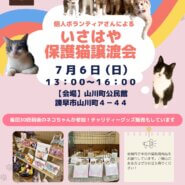 個人ボランティアさんによるいさはや保護猫譲渡会