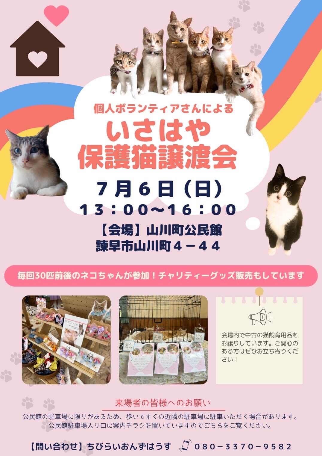 個人ボランティアさんによるいさはや保護猫譲渡会