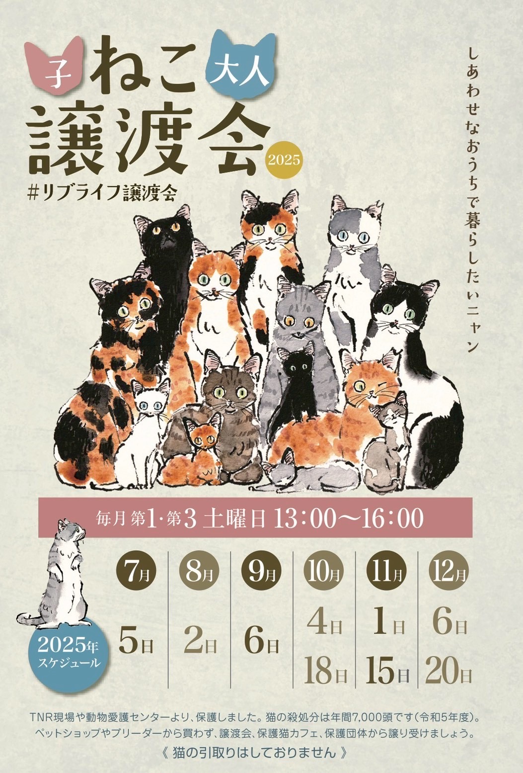リブライフ猫の譲渡会