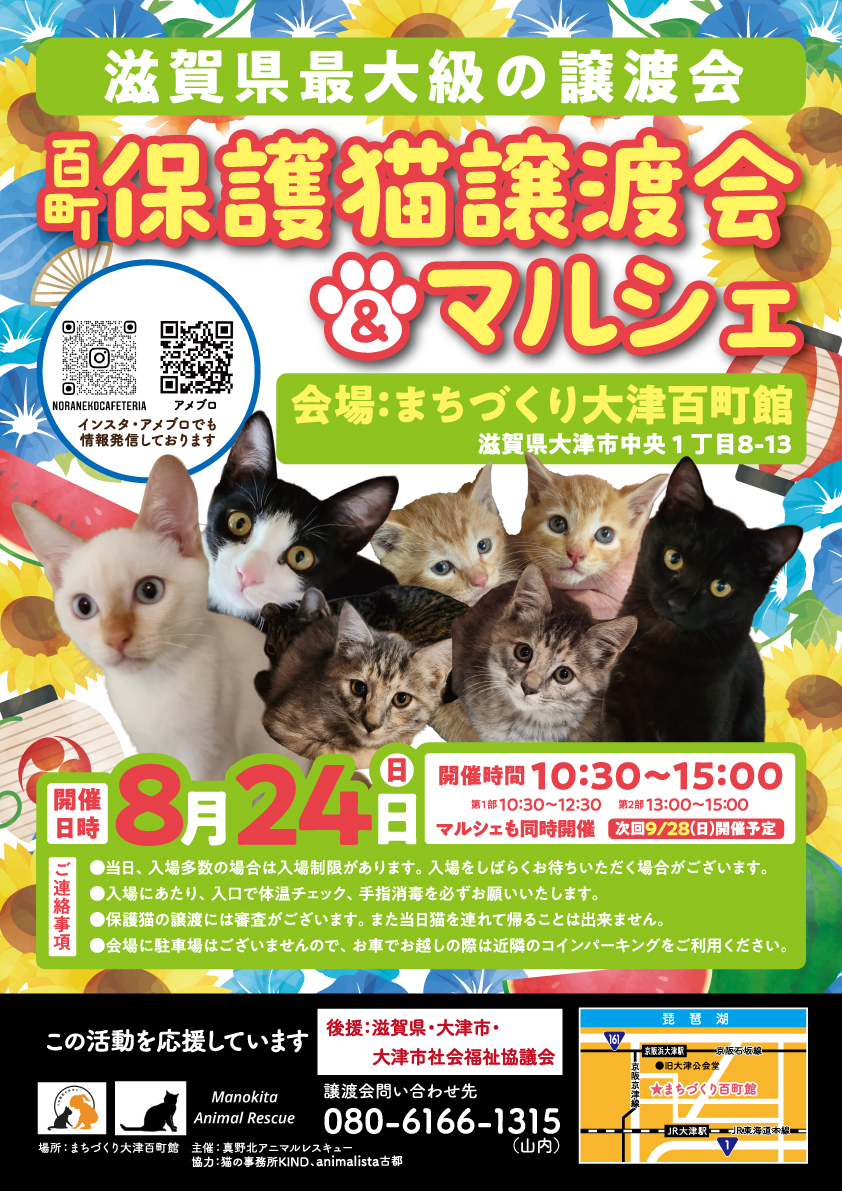 百町保護猫譲渡会＆マルシェ