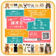緊急開催！子猫さんの譲渡会