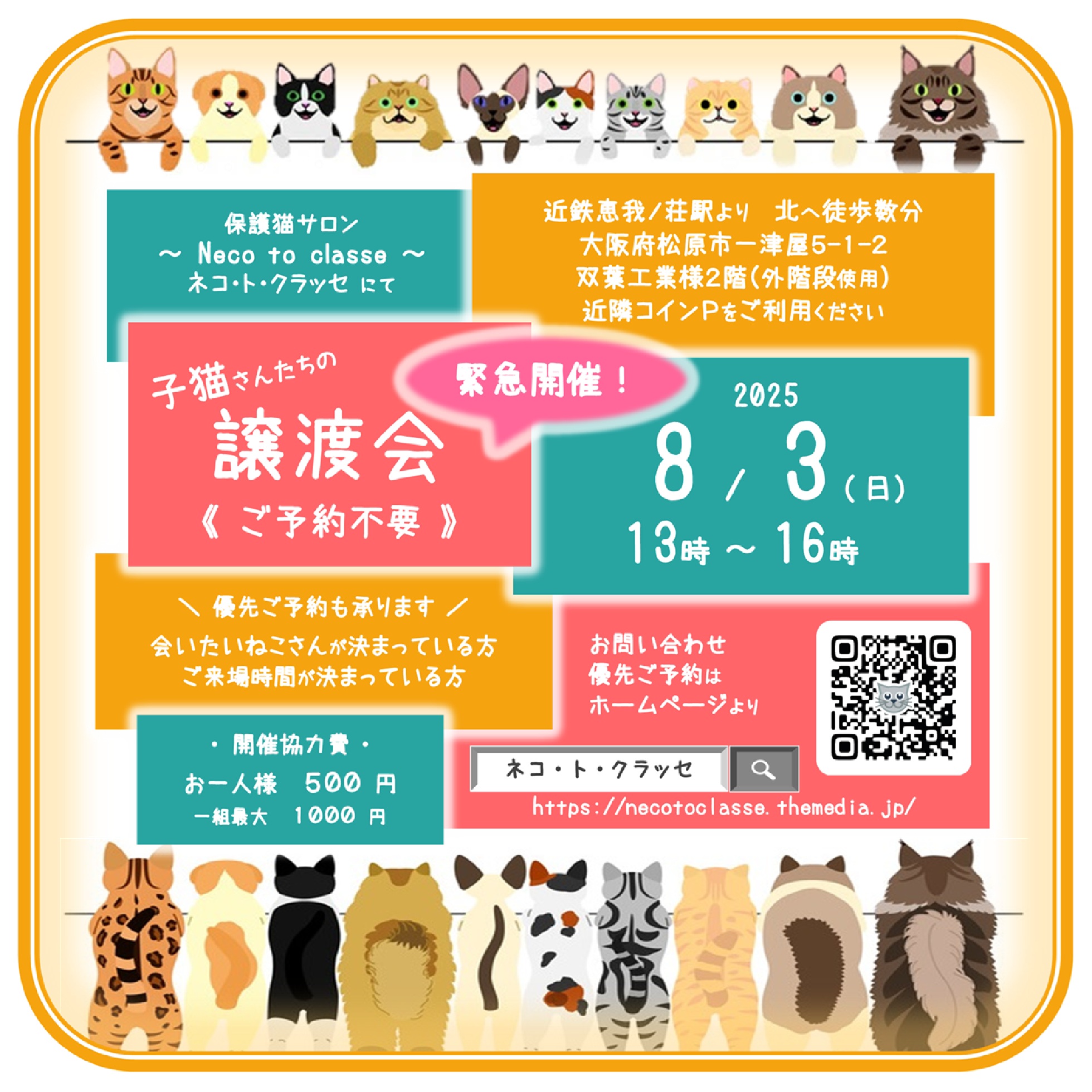 緊急開催！子猫さんの譲渡会