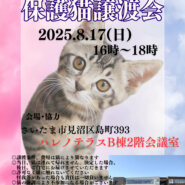 【さいたま市見沼区】8/17(日)ハレノテラス保護猫譲渡会