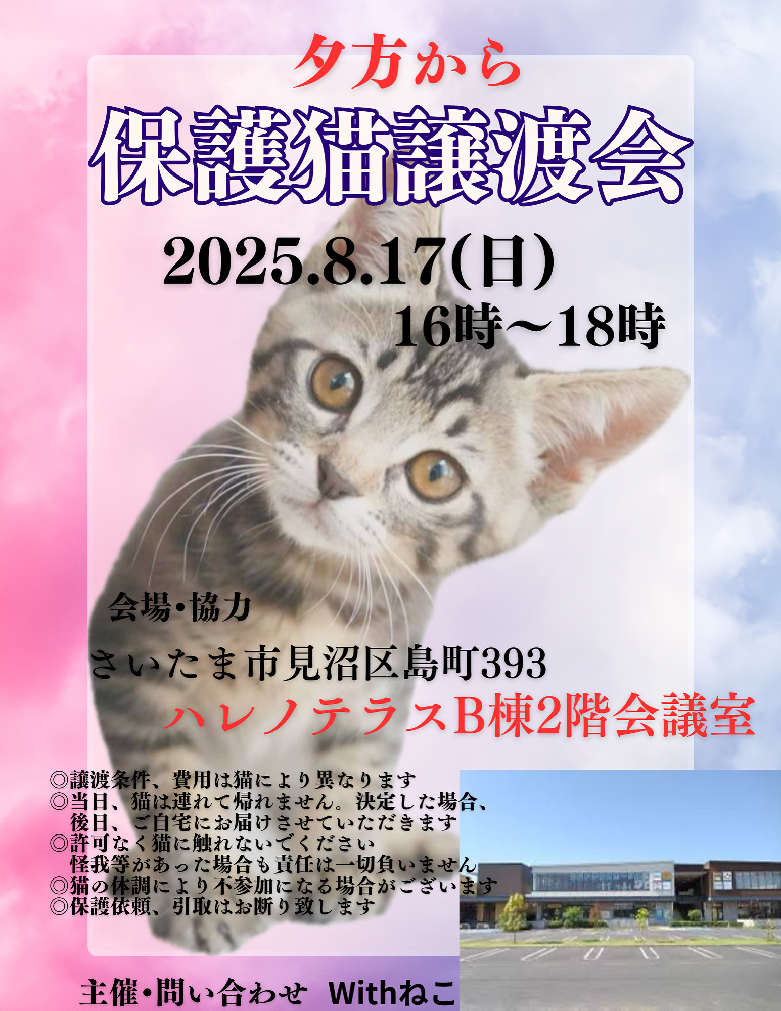 【さいたま市見沼区】8/17(日)ハレノテラス保護猫譲渡会