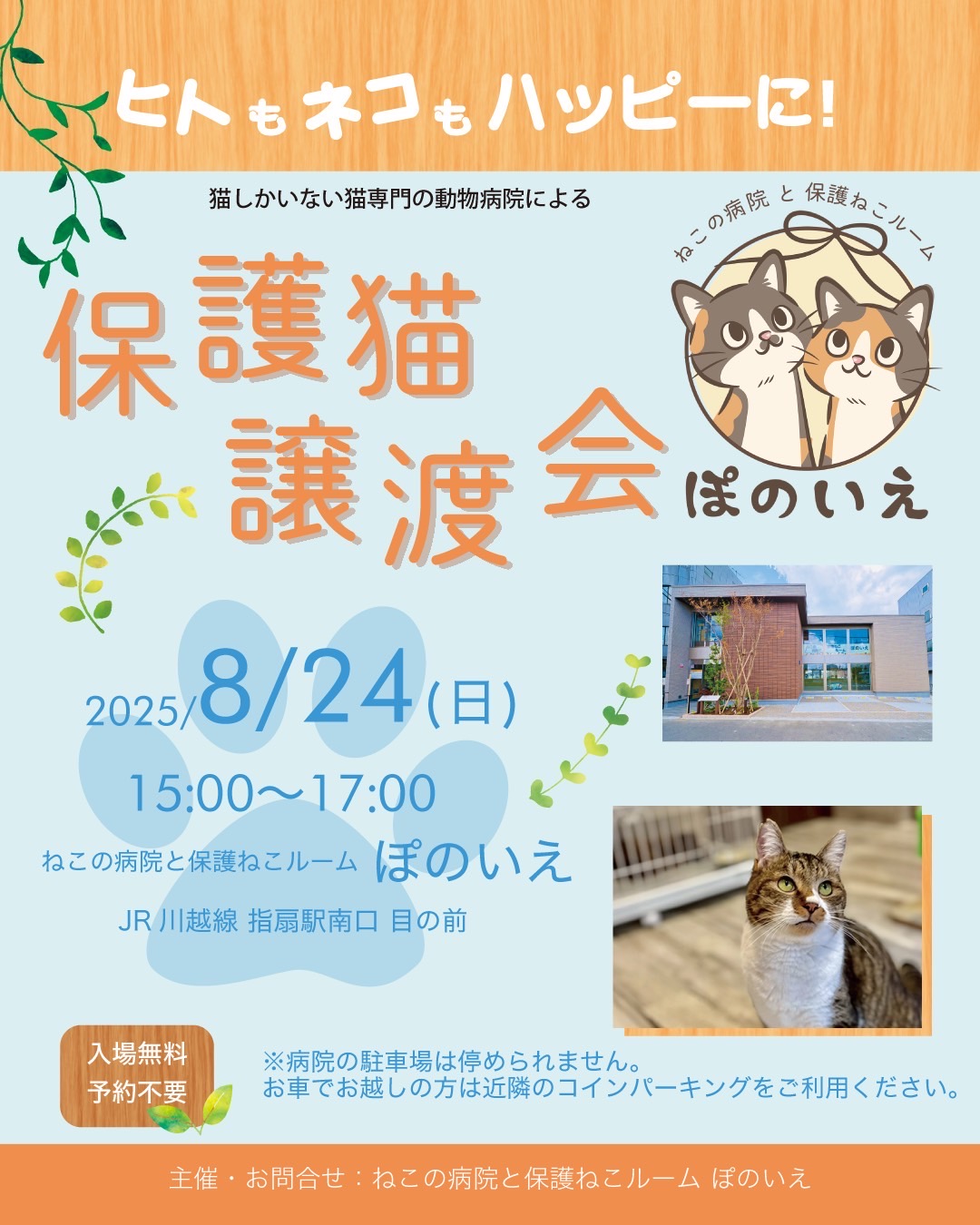 【さいたま市西区】8/24（日)猫専門病院「ぽのいえ」保護猫譲渡会