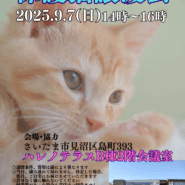 【さいたま市見沼区】9/7（日)ハレノテラス保護猫譲渡会