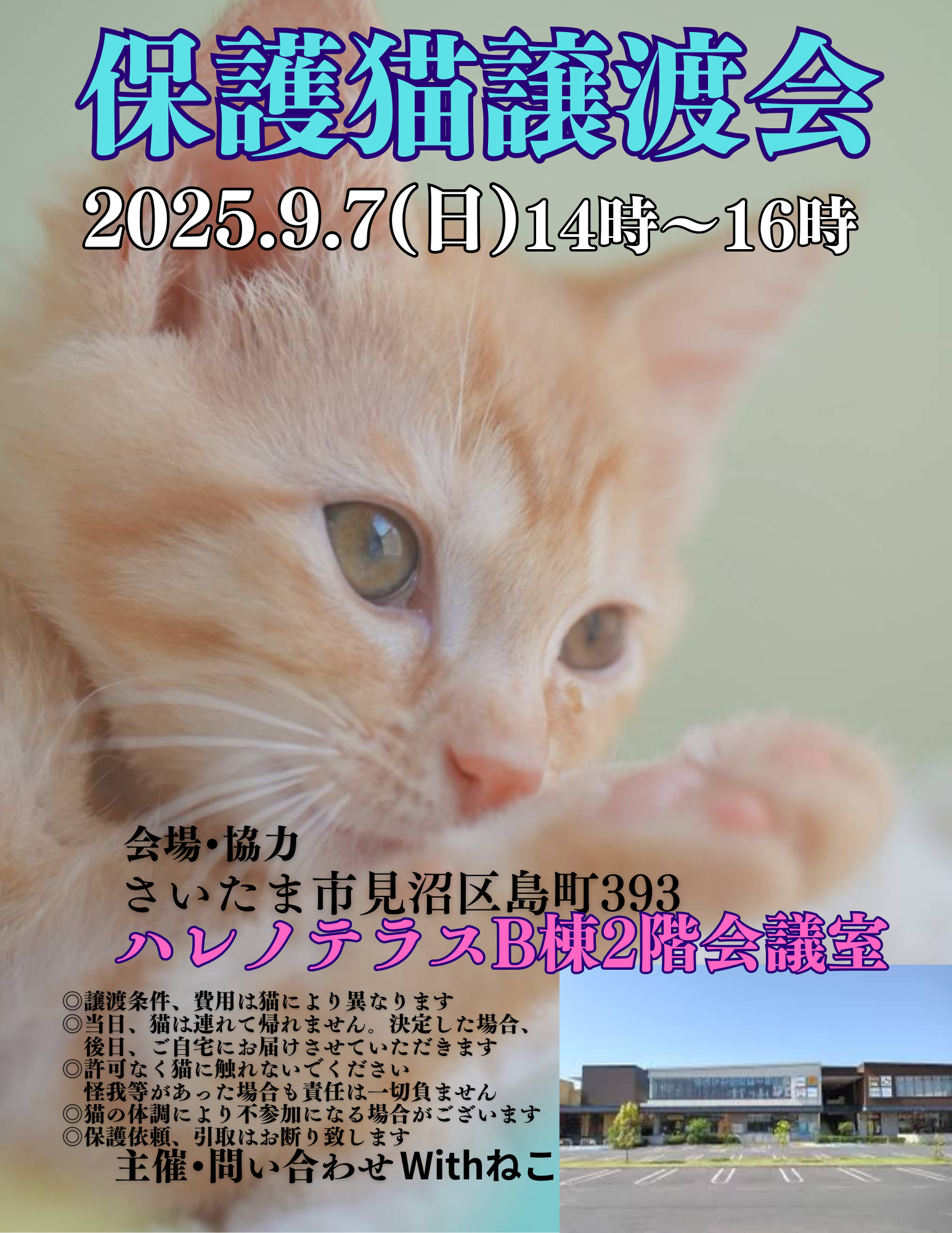 【さいたま市見沼区】9/7（日)ハレノテラス保護猫譲渡会