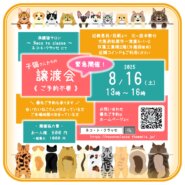 緊急開催！子猫さんたちの譲渡会