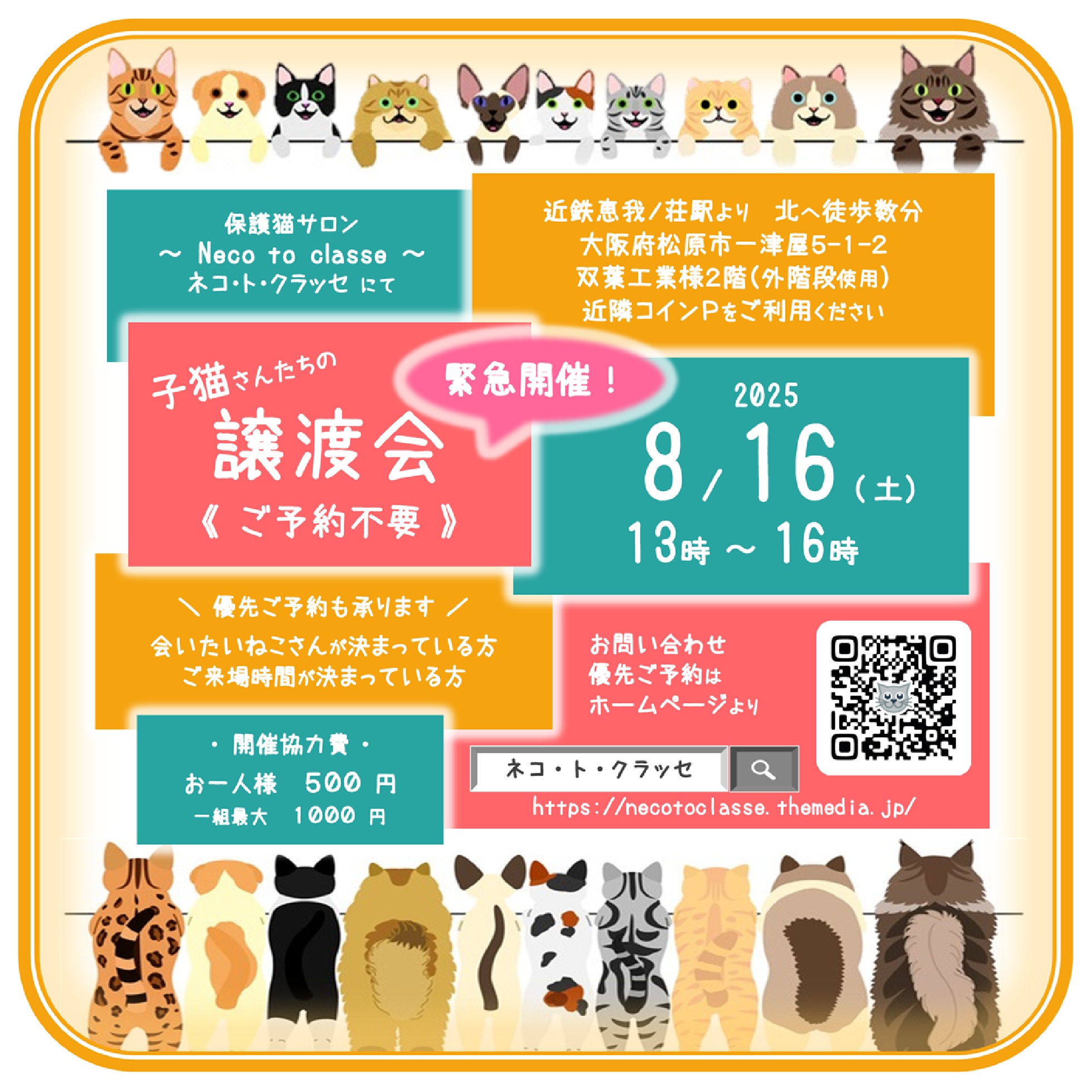 緊急開催！子猫さんたちの譲渡会