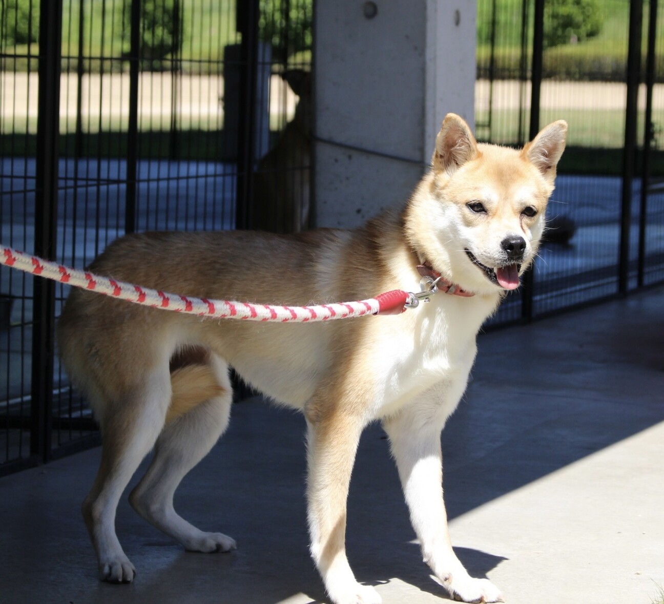 お目めがくりんくりん💘可愛いゆりちゃん