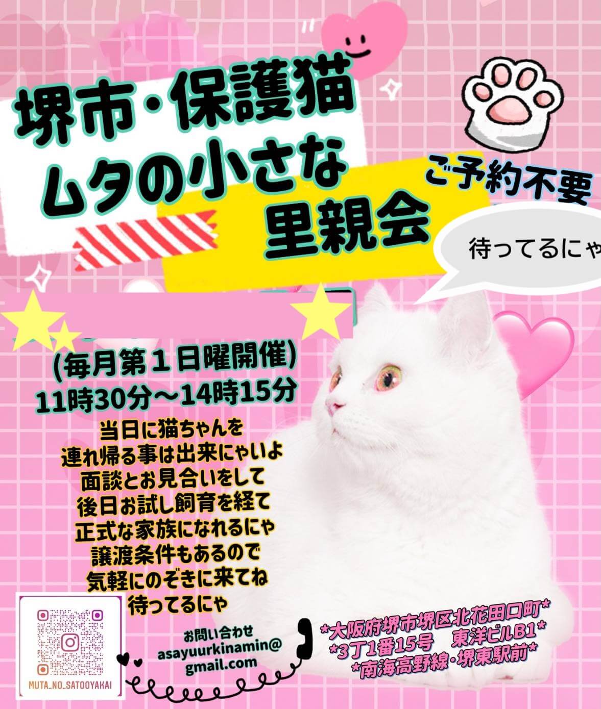 12月7日（日)開催★大阪府堺市★ムタの小さな里親会★