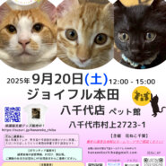 花ねこ譲渡会