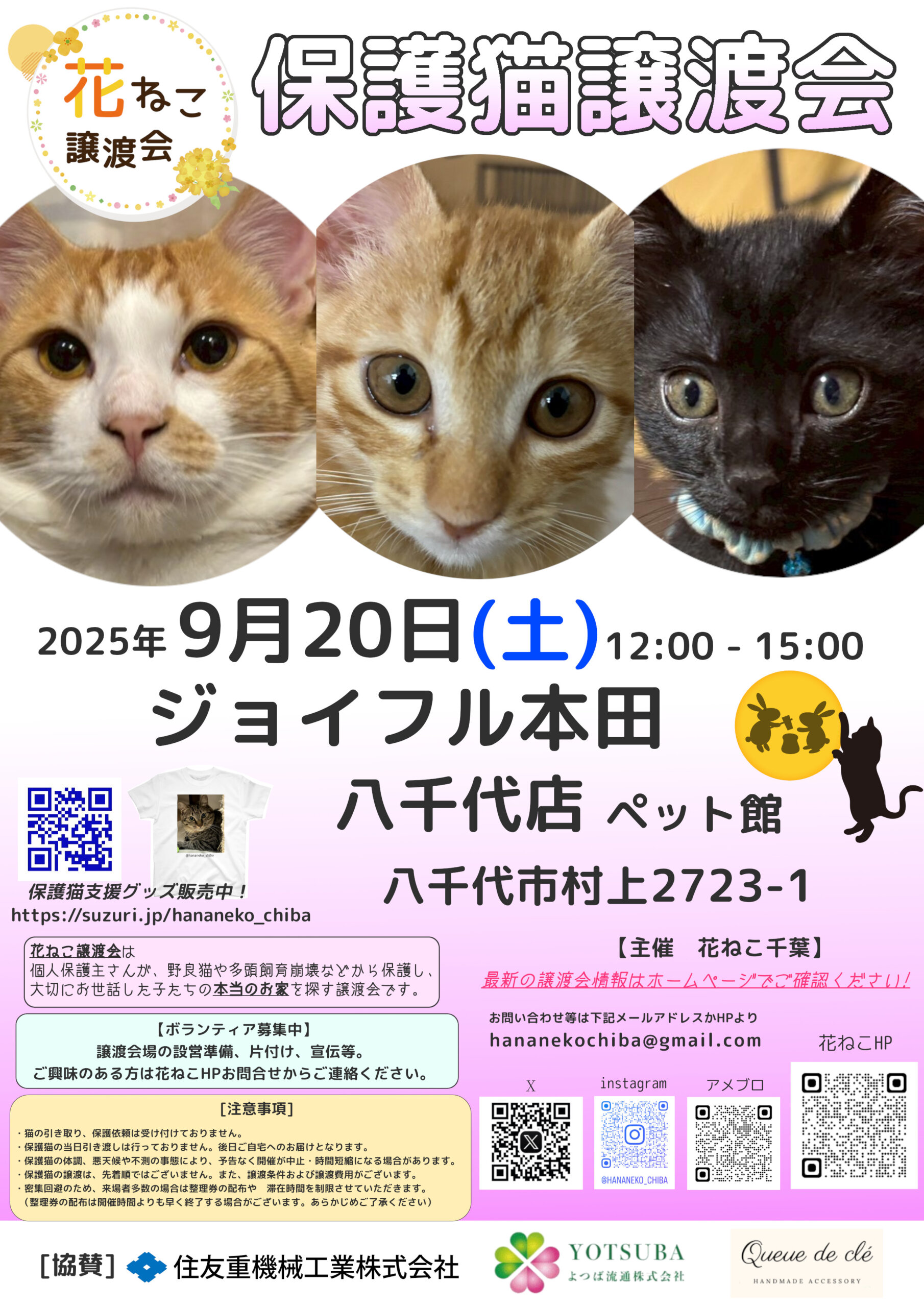 花ねこ譲渡会