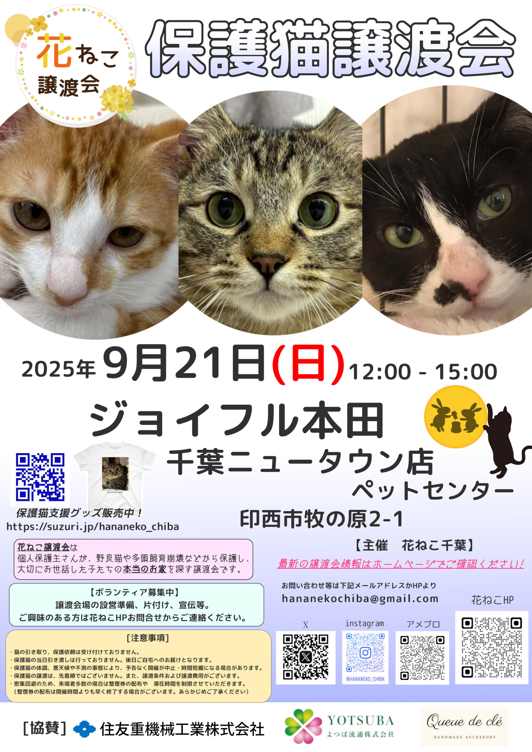 花ねこ譲渡会