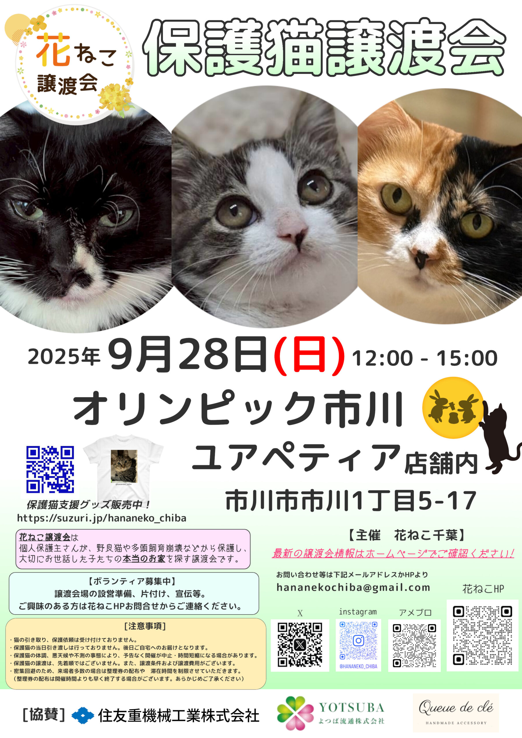 花ねこ譲渡会