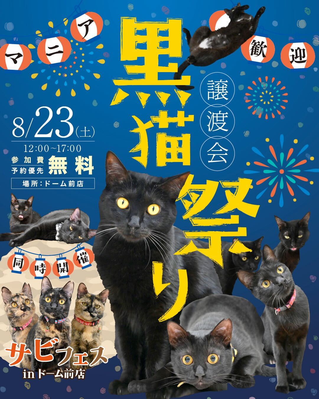 ふれあえる譲渡会 in大阪市