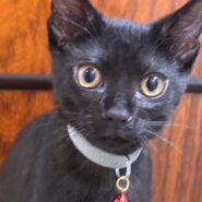 125グラムだったイケメン、ローリナ君❗️