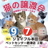 【君津市】保護猫の譲渡会