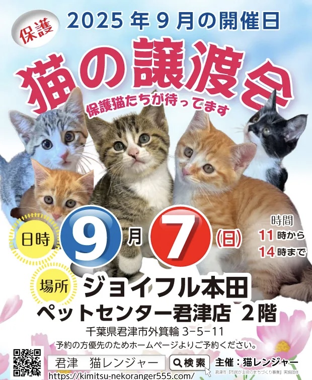 【君津市】保護猫の譲渡会