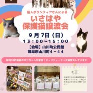 個人ボランティアさんによるいさはや保護猫譲渡会
